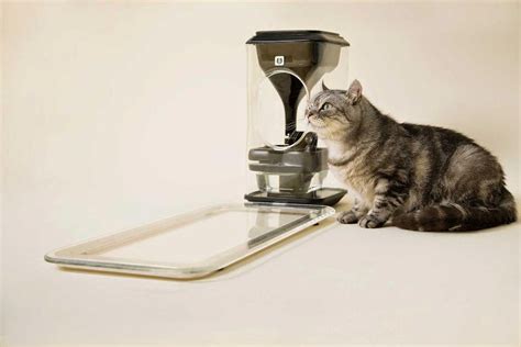 15 Coolest And Awesome Cat Gadgets
