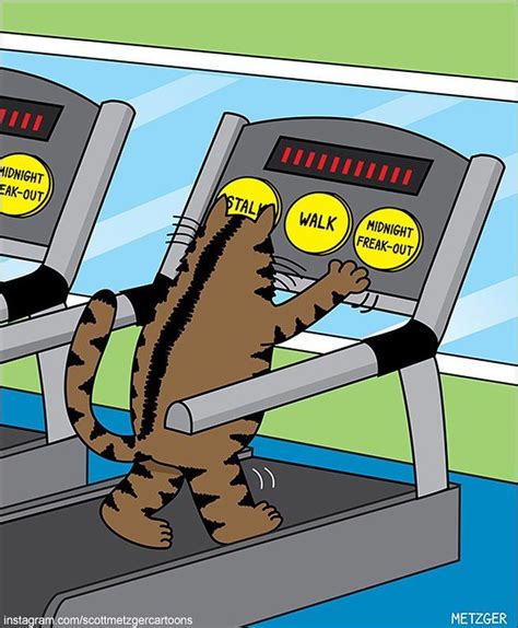 Scott Metzger On Instagram Tough Workout Cat Cats Treadmill Gym