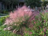 Landscaping Xeriscape Pictures