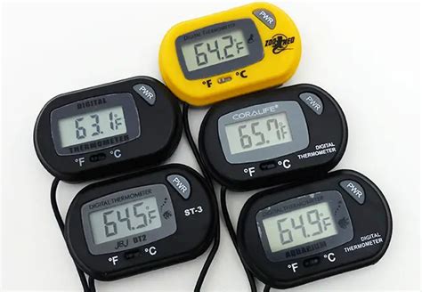 Most Accurate Aquarium Thermometers Best 2021 Products