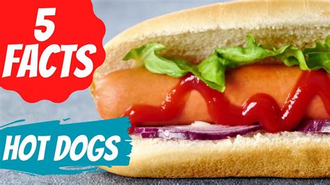 5 Facts About Hot Dogs 🌭 Top 5 Interesting Facts About Hot Dogs Youtube