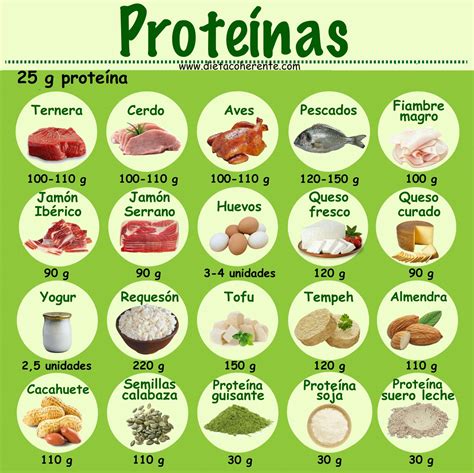 Cálculo De Proteínas En La Dieta Lowcarb Guía Alimentos