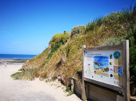 Nationaal Natuurreservaat Falaise Du Cap Romain Bernieres Sur Mer