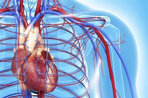 2020: Covid-19 and cardiovascular diseases | Avon ...