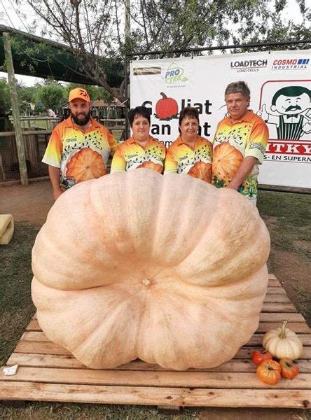 Record Breaking Pumpkin Can Feed Thousands Rekord