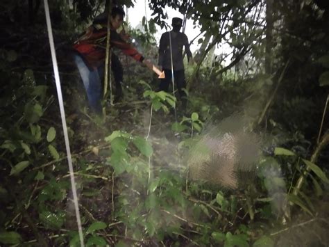 Mayat Perempuan Tanpa Busana Ditemukan Di Tengah Hutan Sidoharjo