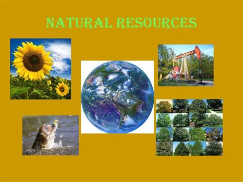 Ppt Natural Resources Powerpoint Presentation Free Download Id6574966