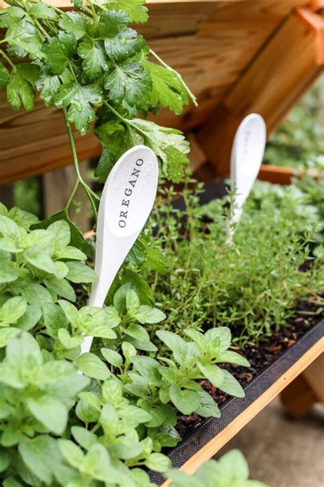 20 Cute And Easy Diy Garden Plant Markers To Make Simplify Live Love