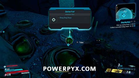 You must pick up 5 cactus fruit and 5 skag meat. Borderlands 3 Skag Dog Days Side Mission Walkthrough