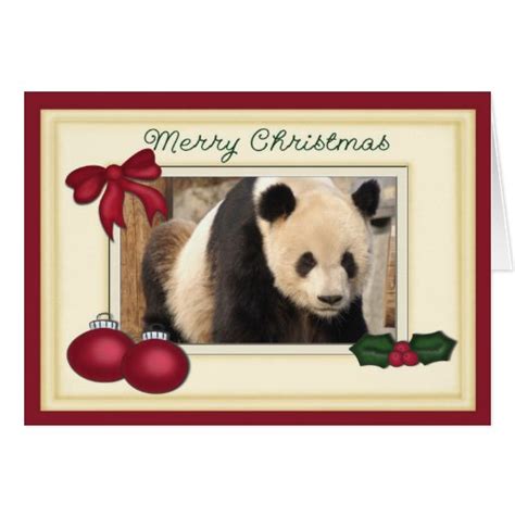 Giant Panda Bear And Baby Panda Christmas Card Zazzle