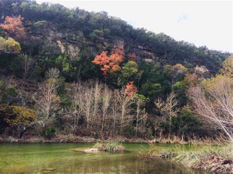 Do you ever dream of getting away from it all? The Lost Maples State Natural Area reports, yellow seems ...