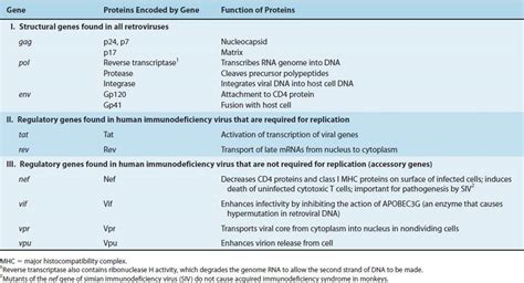 Human Immunodeficiency Virus Review Of Medical Microbiology And Immunology 13th Edition