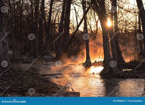 Sunrise Foggy River Stock Image Image Of Seasons Early 4596831