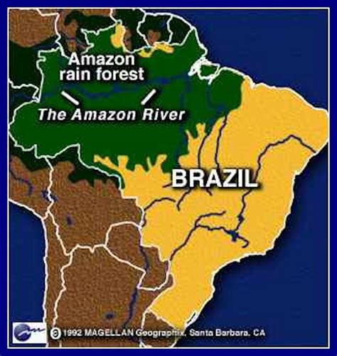 Posts About And Safeguarding Ecosystems Outside The Amazon Rainforest