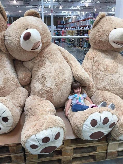 Your Babysitter Huge Teddy Bears Teddy Bear Hug Teddy Bear Cartoon