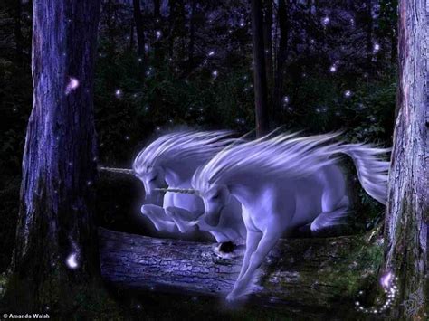Enchanted Forest Unicorns Photo 862211 Fanpop