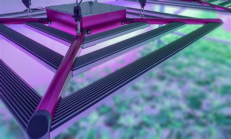 Walmart.com has been visited by 1m+ users in the past month KIND X² Commercial 750 Watt LED Grow Light 700 Watt LED ...