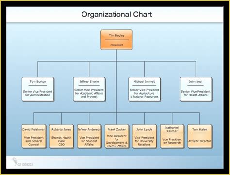 Free Easy Organizational Chart Template Of Simple Business Plan For