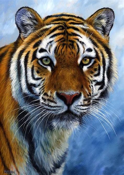 Tiger Beautiful Cats Animals Beautiful Animal Paintings Animal