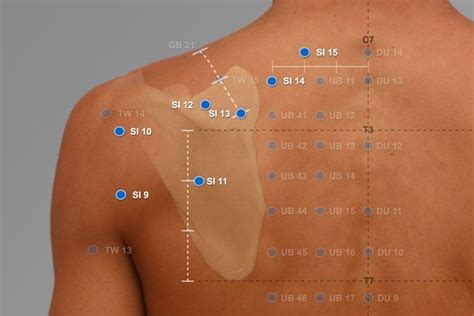 Craniosacral Therapy Acupressure Treatment Acupuncture