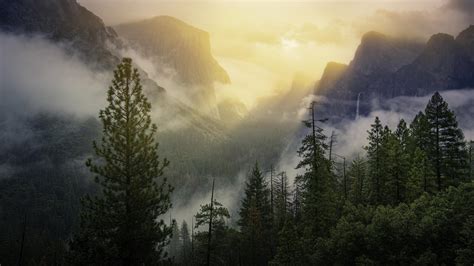คลาวด์ที่สวยงามปกคลุมต้นไม้และภูเขาด้วย Sunbeam 4k Nature Hd Desktop