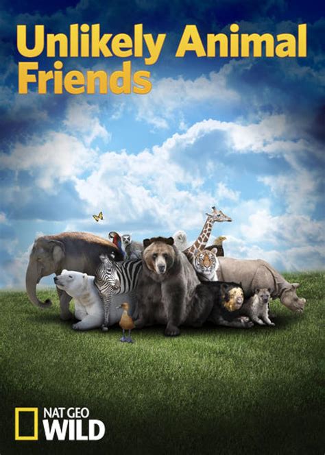 Unlikely Animal Friends Tv Series 2012 Imdb