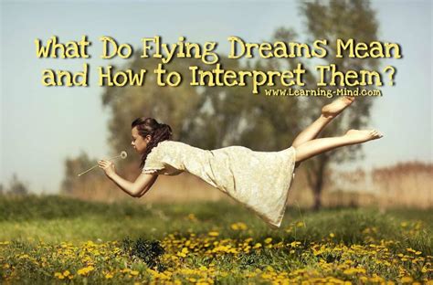 What Do Flying Dreams Mean And How To Interpret Them Learning Mind