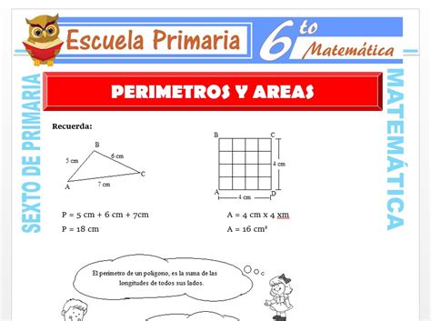 Ejercicios De Per Metros Y Reas Para Sexto De Primaria