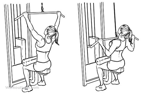 Wide Grip Lat Pulldown Illustrated Exercise Guide Workoutlabs