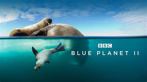 Watch Planet Earth The Blue Planet Season 1 Prime Video