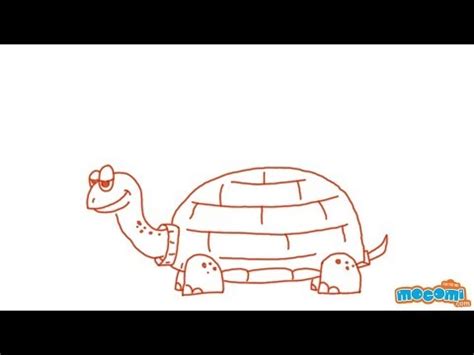 Next, you will learn how perspective works and how you can incorporate that into your art. How To Draw a Tortoise - Learn Step By Step Drawing for ...
