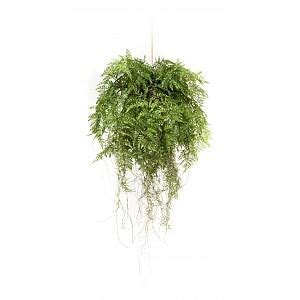 Vues sur quelques fougères en situation. Plante artificielle en 2021 | Plantes artificielles ...