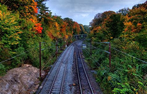 Autumn Tracks Hdr Free Photo Download Freeimages