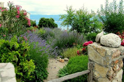 Mediterrán kert növényei A 33 legjellegzetesebb itthon kapható fajta