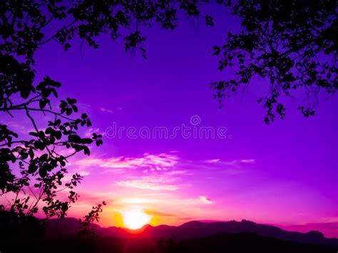 A Beautiful Sunset Scenery Surrounding With Tree Branches Stock Photo