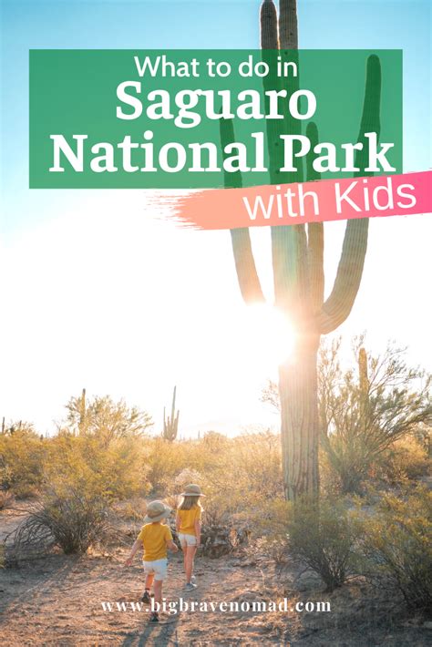 What To Do In Saguaro National Park With Kids — Big Brave Nomad