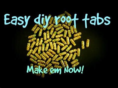 We did not find results for: How to make AMAZING aquarium root tabs - YouTube | Amazing aquariums, Planted aquarium, How to make