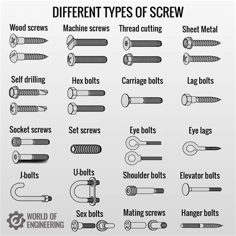 Different Types Of Screw 🧵 1 Wood Screws Are Perhaps The Most