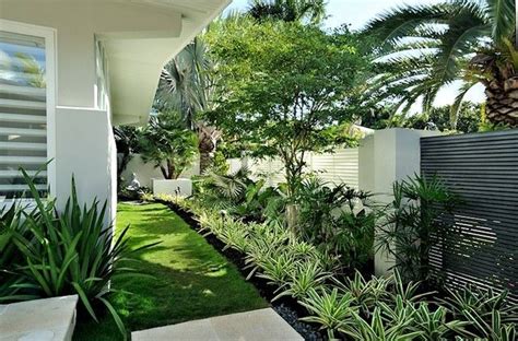 Contemporary Tropical Garden Tropical Garden Design Tropical Garden