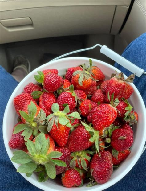 Strawberries Jackson Farms