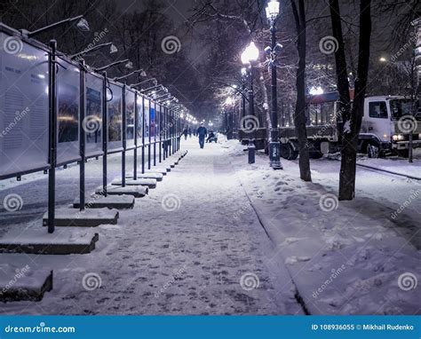 Night Snowy Winter Landscape In The Alley Of City Park Stock Image
