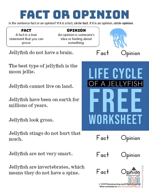 Jellyfish Facts And Opinions Fact And Opinion Jellyfish Facts