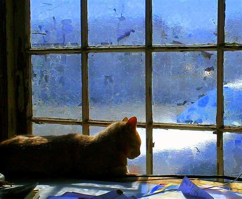 Cat In The Window Painting By Randall Weidner
