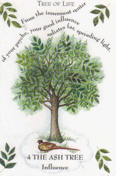 Oak Tree In The Bible Food Ideas