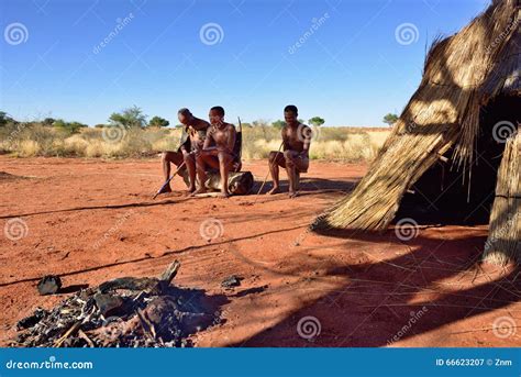 bushmen village kalahari desert namibia editorial photography image of indigenous female