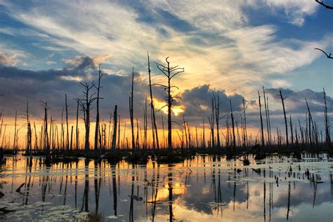 Swamp Sunset Chauvin La Beautiful World Beautiful Places