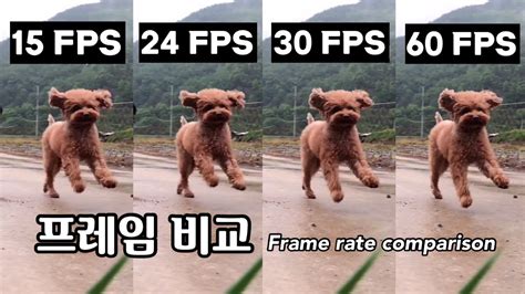 프레임 비교 15 Fps Vs 24 Fps Vs 30 Fps Vs 60 Fps 뚜렷한 프레임 차이 Youtube