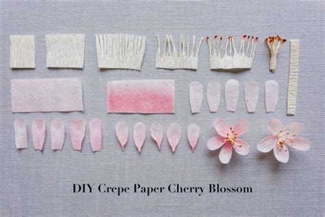 Diy Crepe Paper Cherry Blossom Tutorial Sakura Paper Flower Art How
