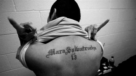 Opinion How To Leave Ms 13 Alive The New York Times