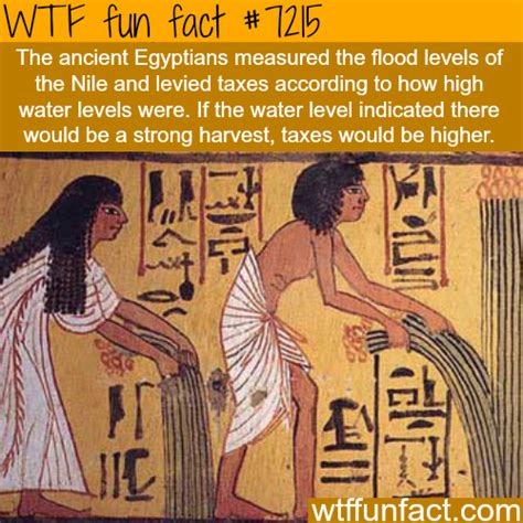 wtf facts funny interesting and weird facts facts about ancient egypt egyptian history